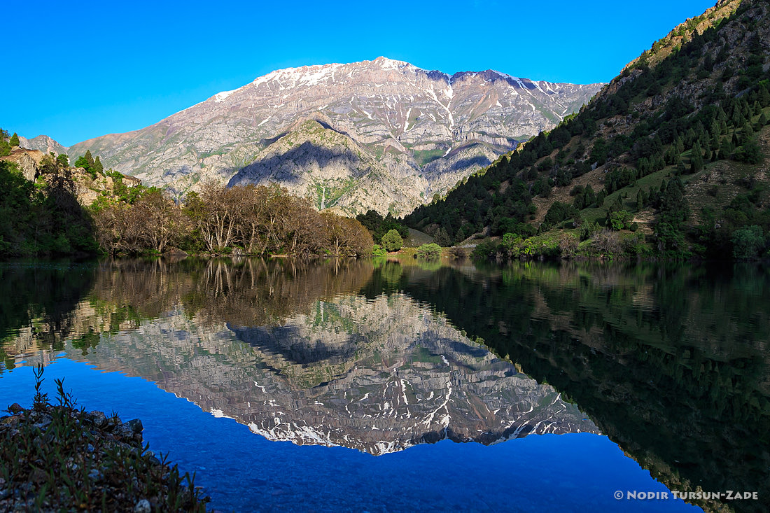 2293e601cca115ecd38362db12648407