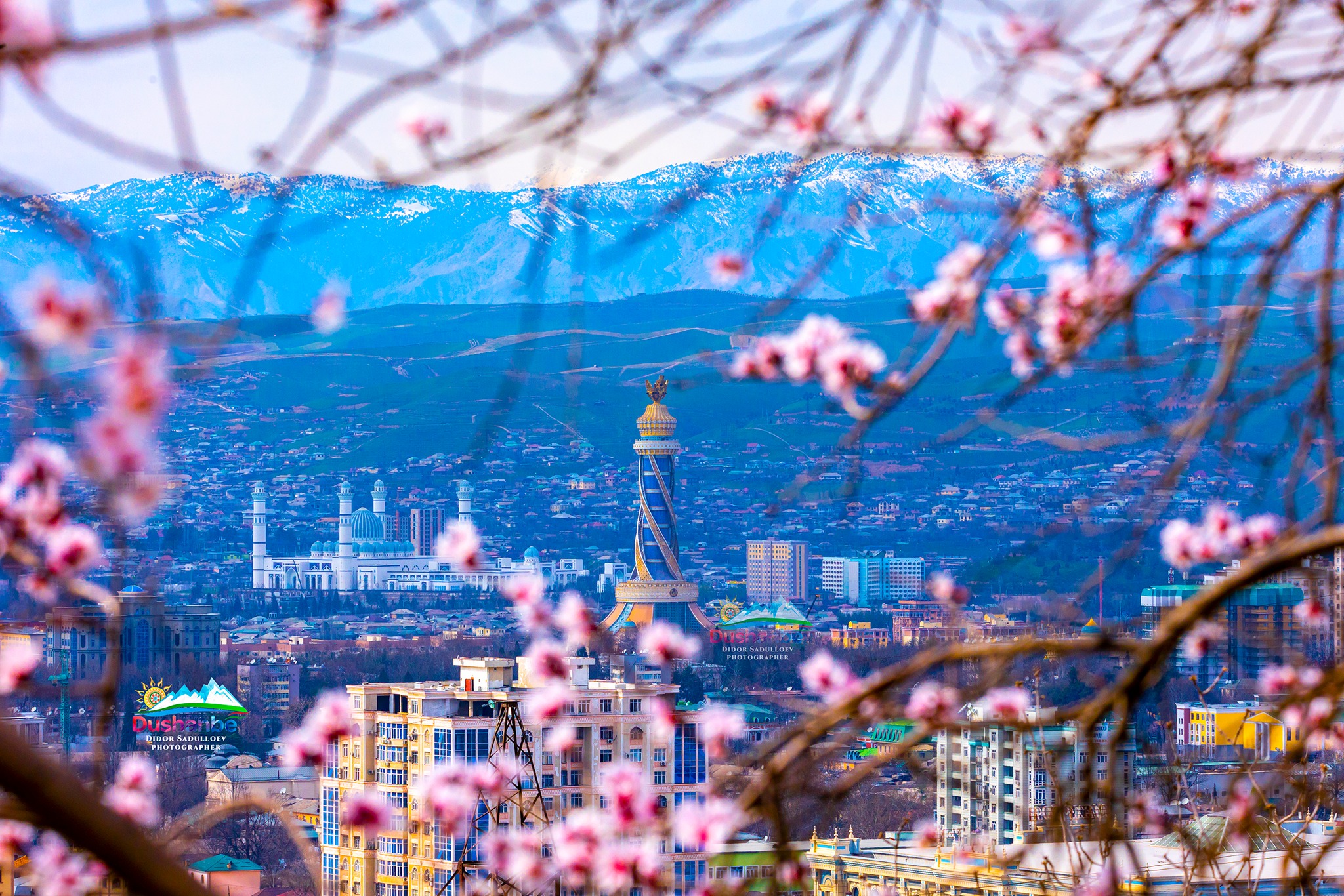 477958528_9021388861323236_2211327240954440300_n