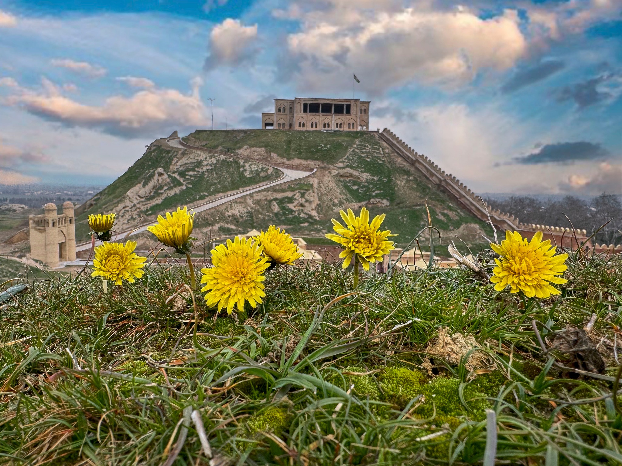 480560537_2983228291826124_4849721971197012177_n