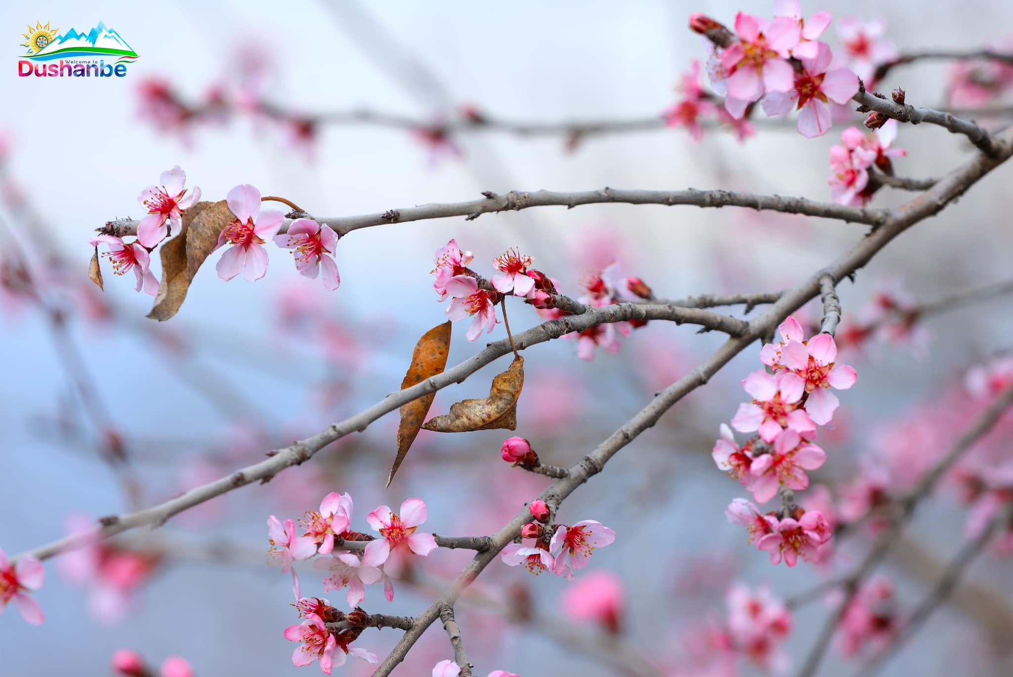 480567129_959889552942367_2351189078381746348_n