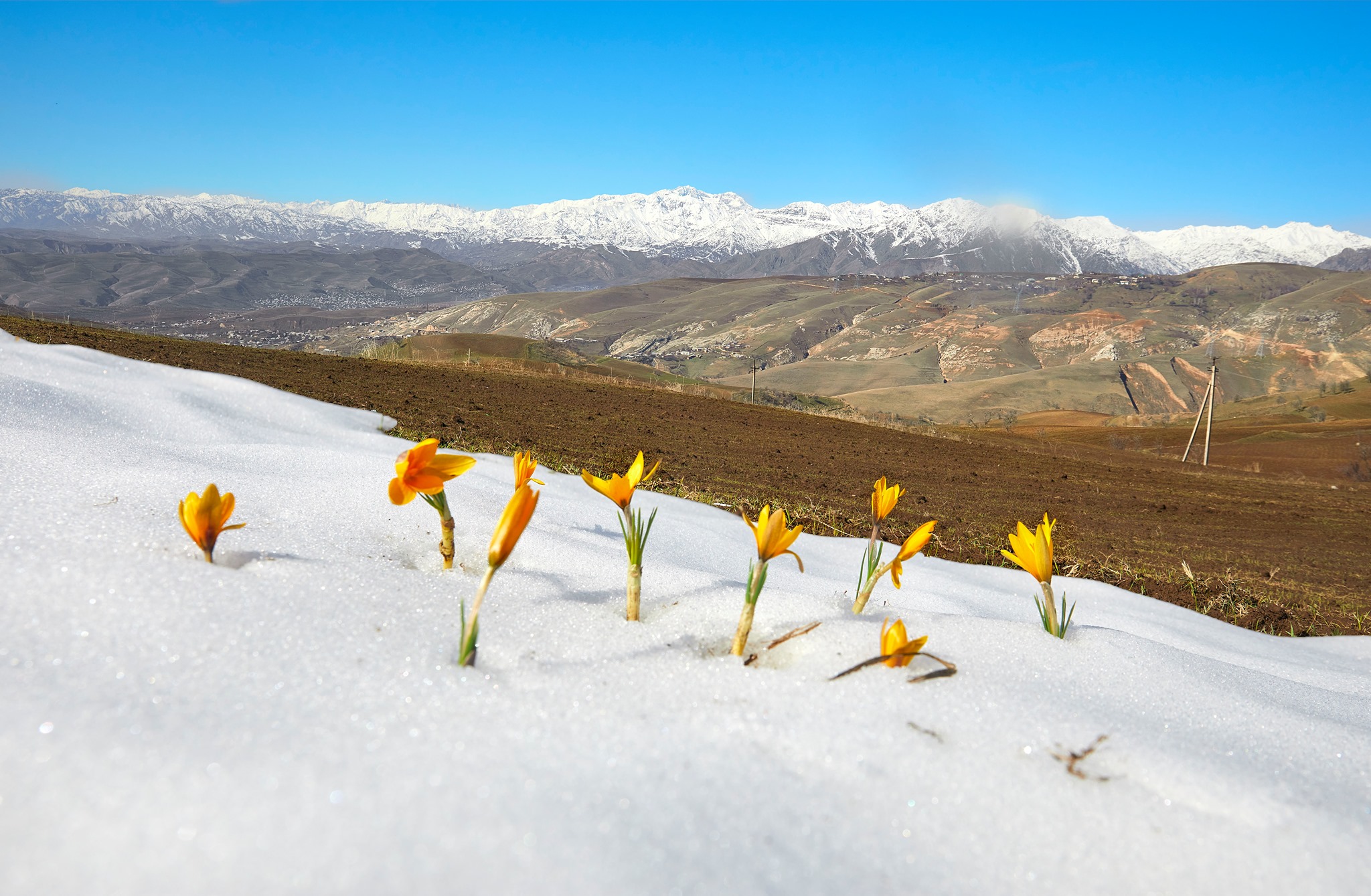 86294683_1503206999828268_6182595595706826752_n