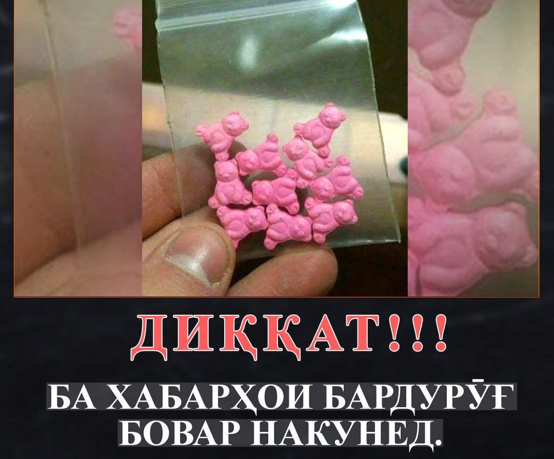 photo_2025-02-10_11-51-33