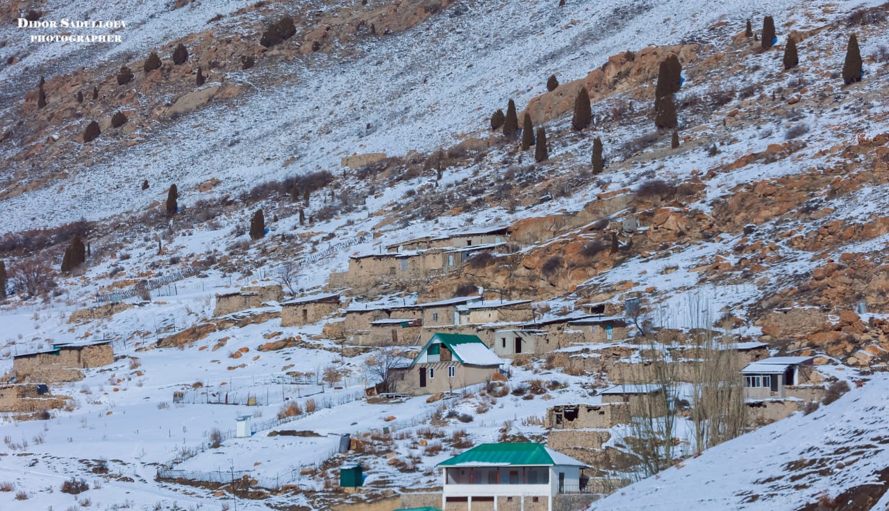 photo_2025-02-25_18-34-21