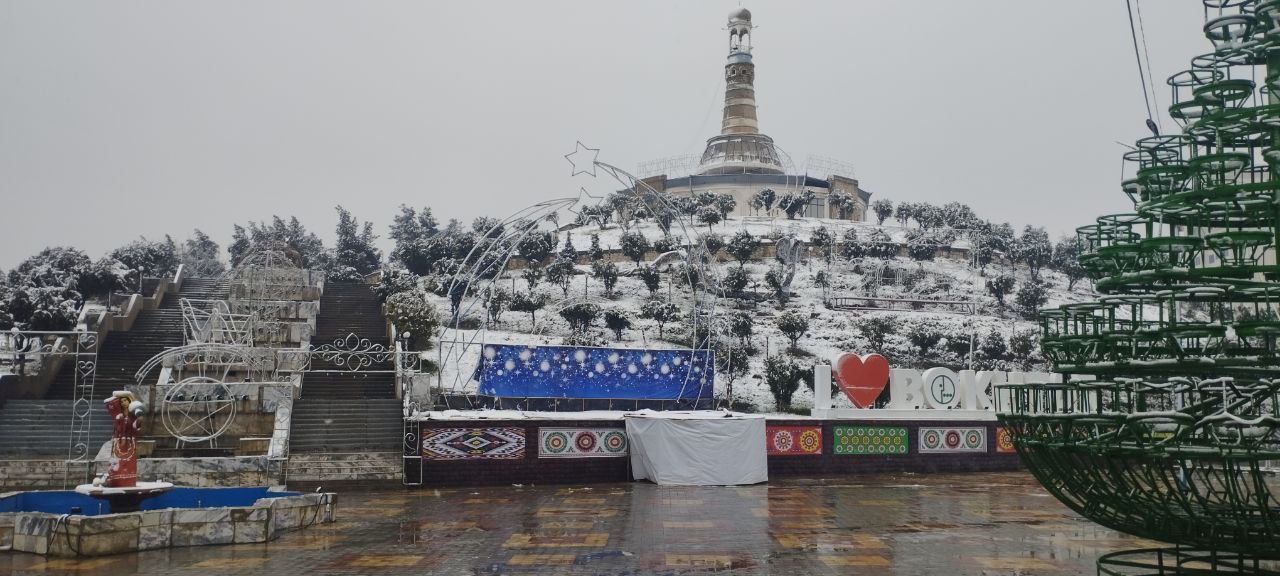 photo_2025-02-26_15-00-35