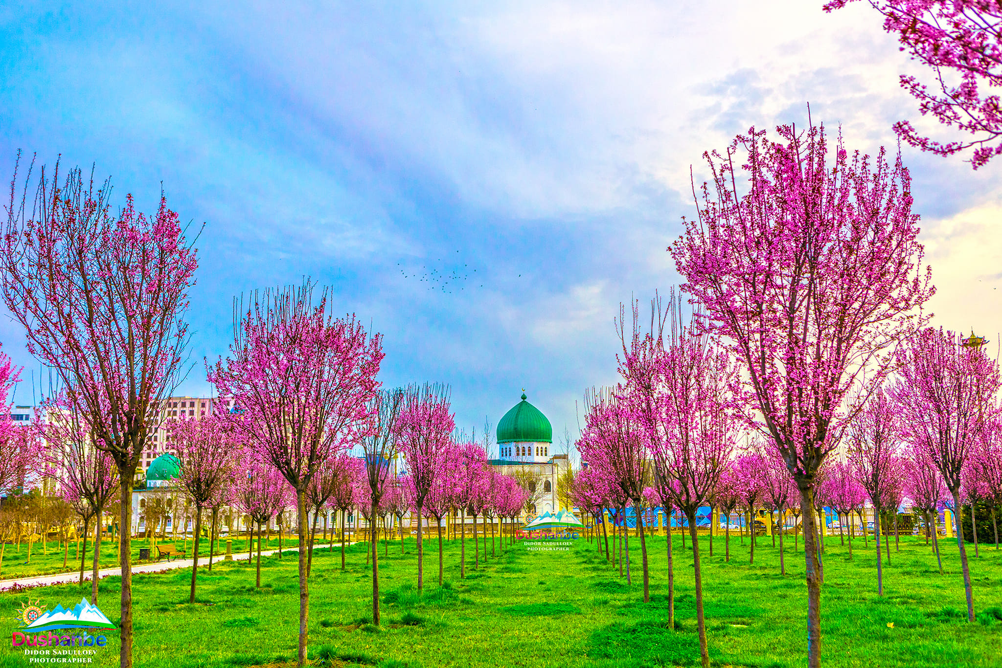 476059921_949799767284679_7152688876716449655_n