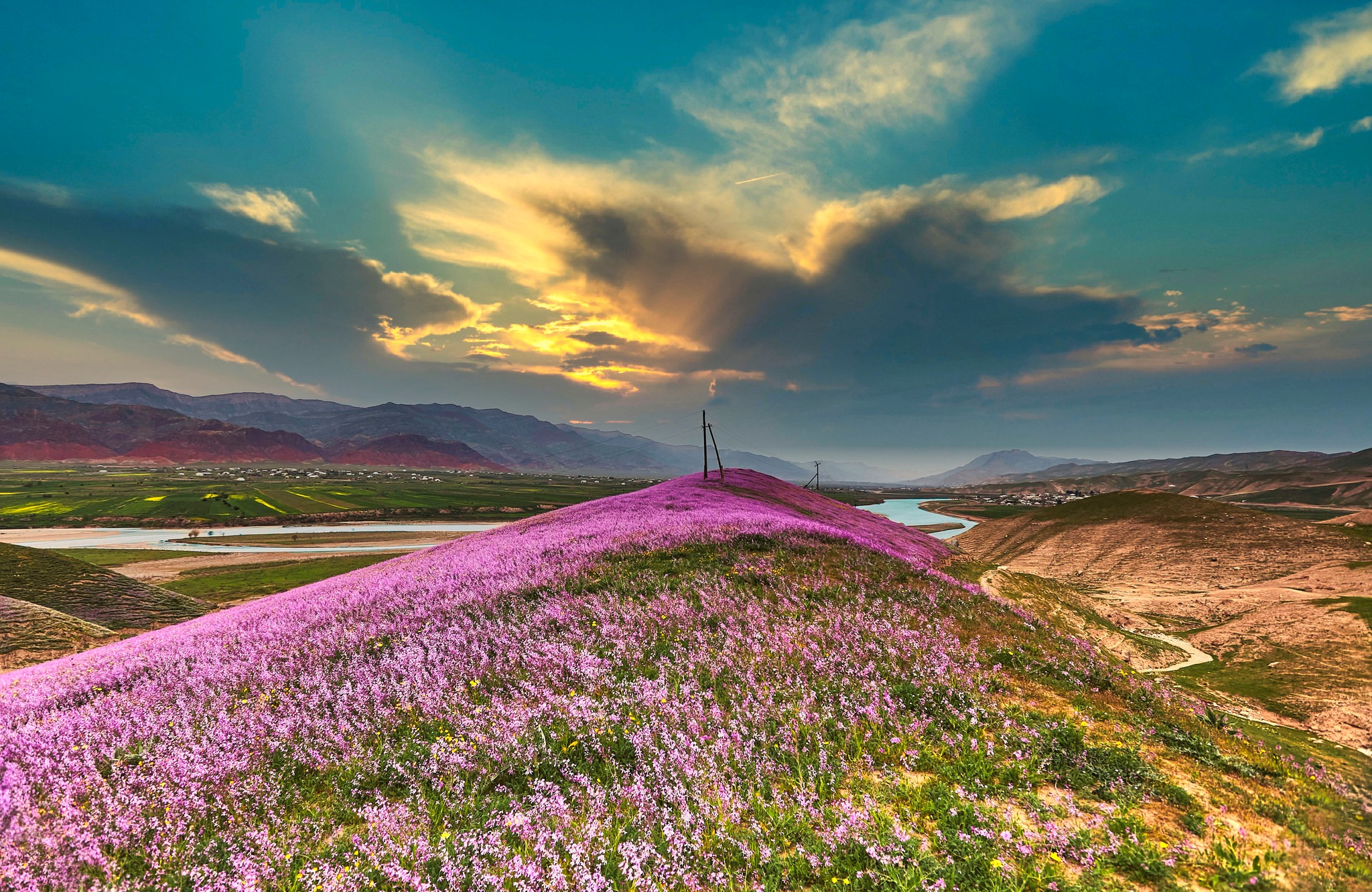 486972693_3019501231532163_2347066421149526852_n