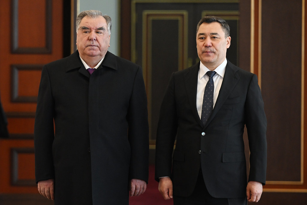 54382303125_3d6dfdcc04_b