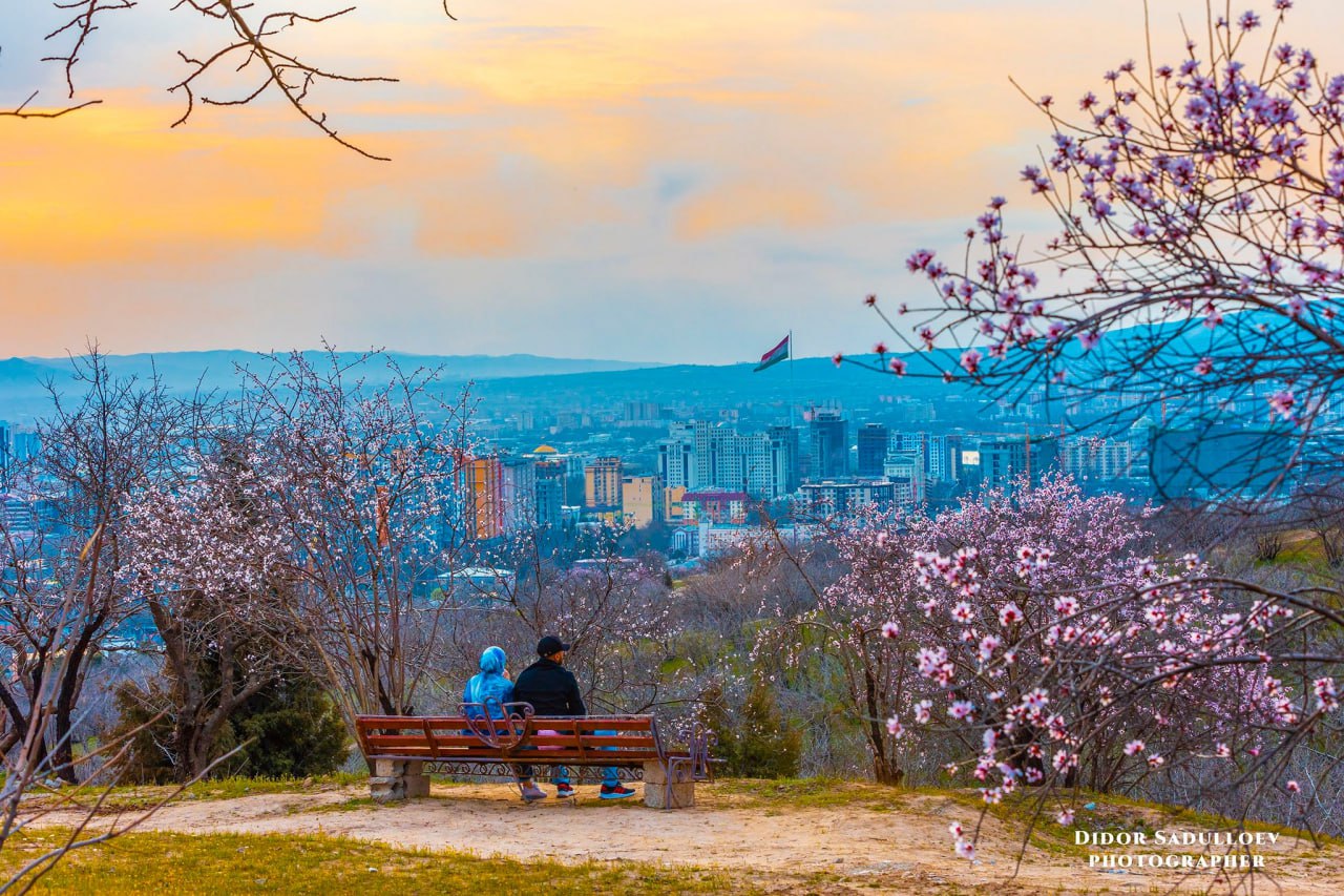 photo_2025-03-06_17-24-41