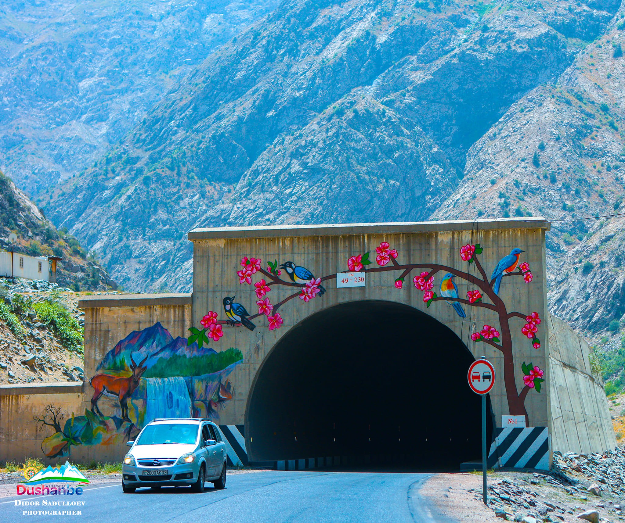 photo_2025-03-08_22-26-51