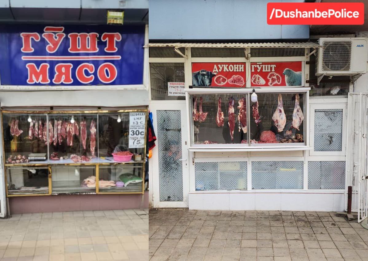 photo_2025-03-10_17-59-50