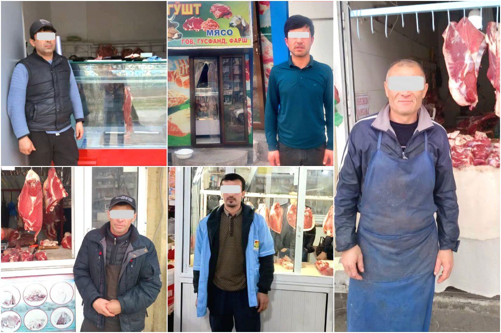 photo_2025-03-12_11-07-15