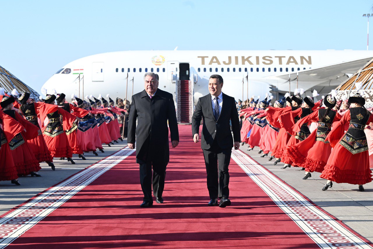 photo_2025-03-12_17-04-59