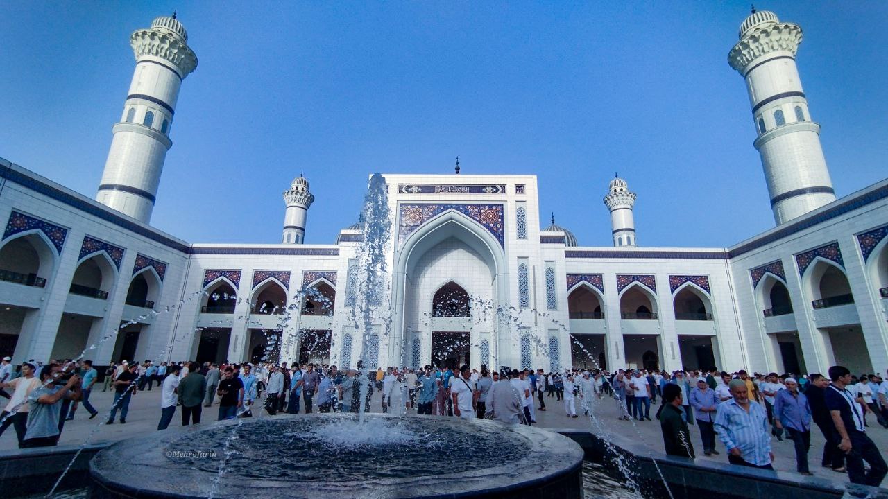 photo_2025-03-13_11-43-55