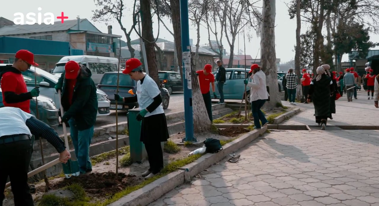 photo_2025-03-19_11-00-54