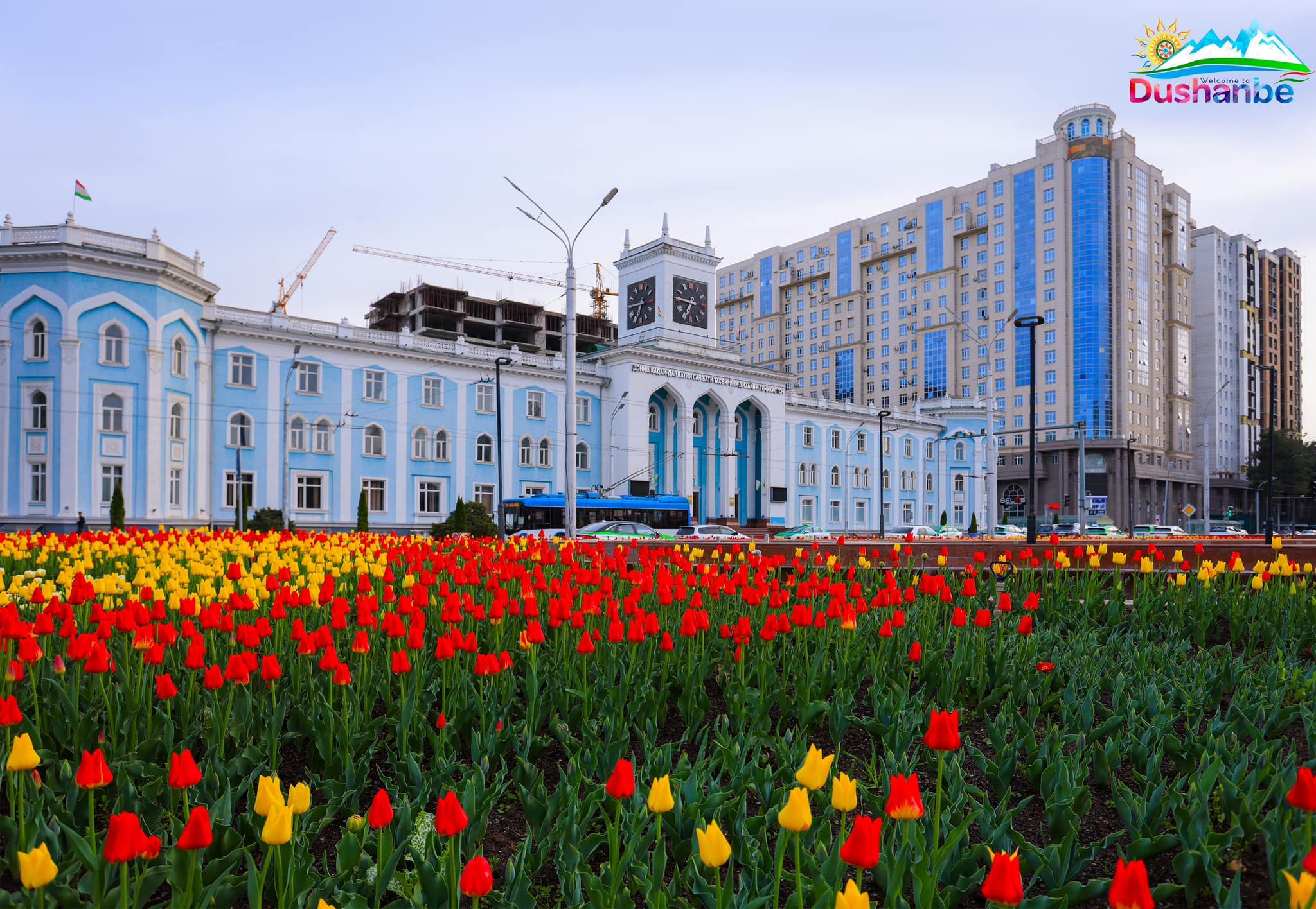 photo_2025-03-25_20-40-43