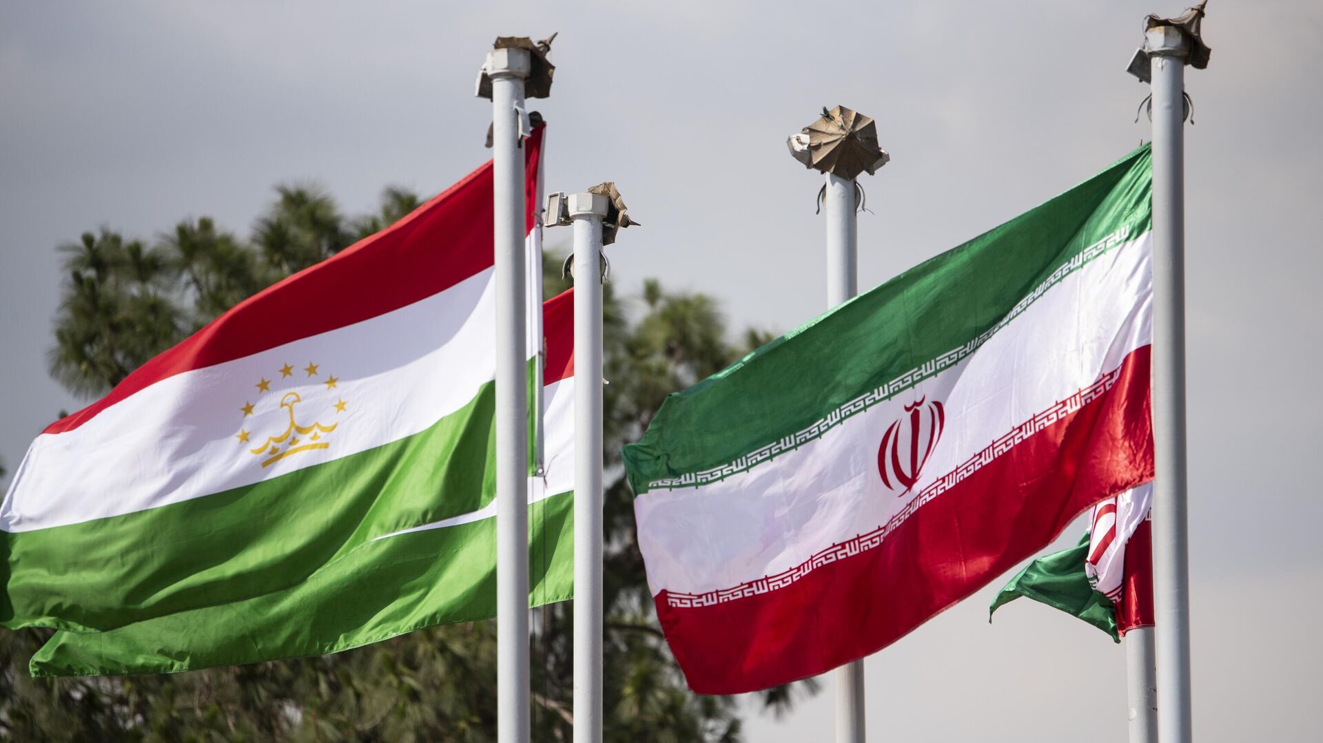 1065862372_0_19_3071_1746_1920x0_80_0_0_269632613c68c5665f05891d82a086d0