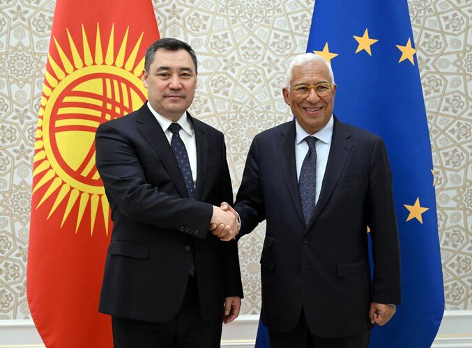 371576_w_h500_1743730682_r