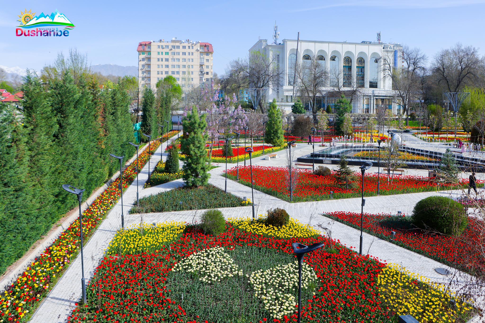 488621413_990774079853914_2581729253561414193_n