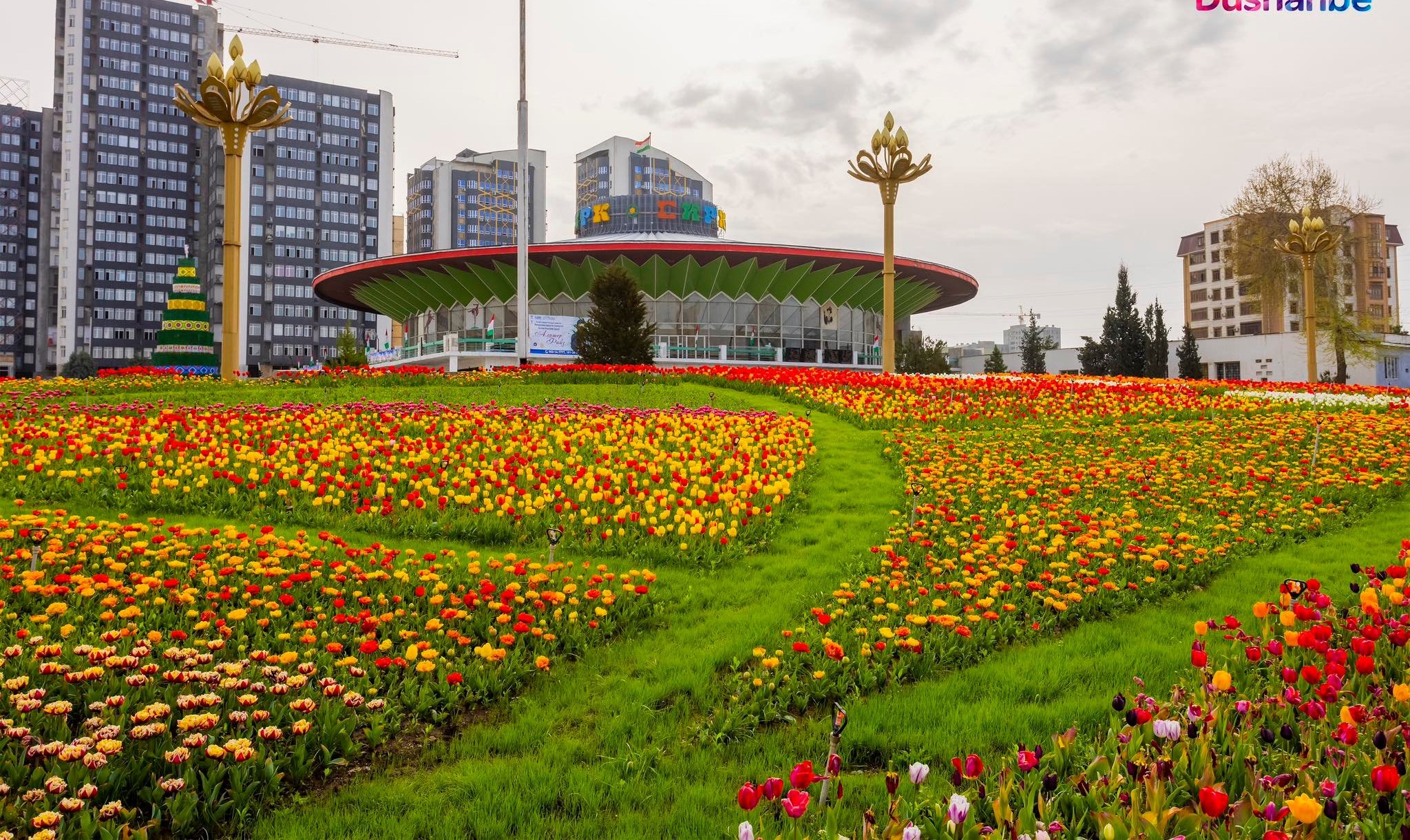 489010570_993740072890648_3212395004213382386_n