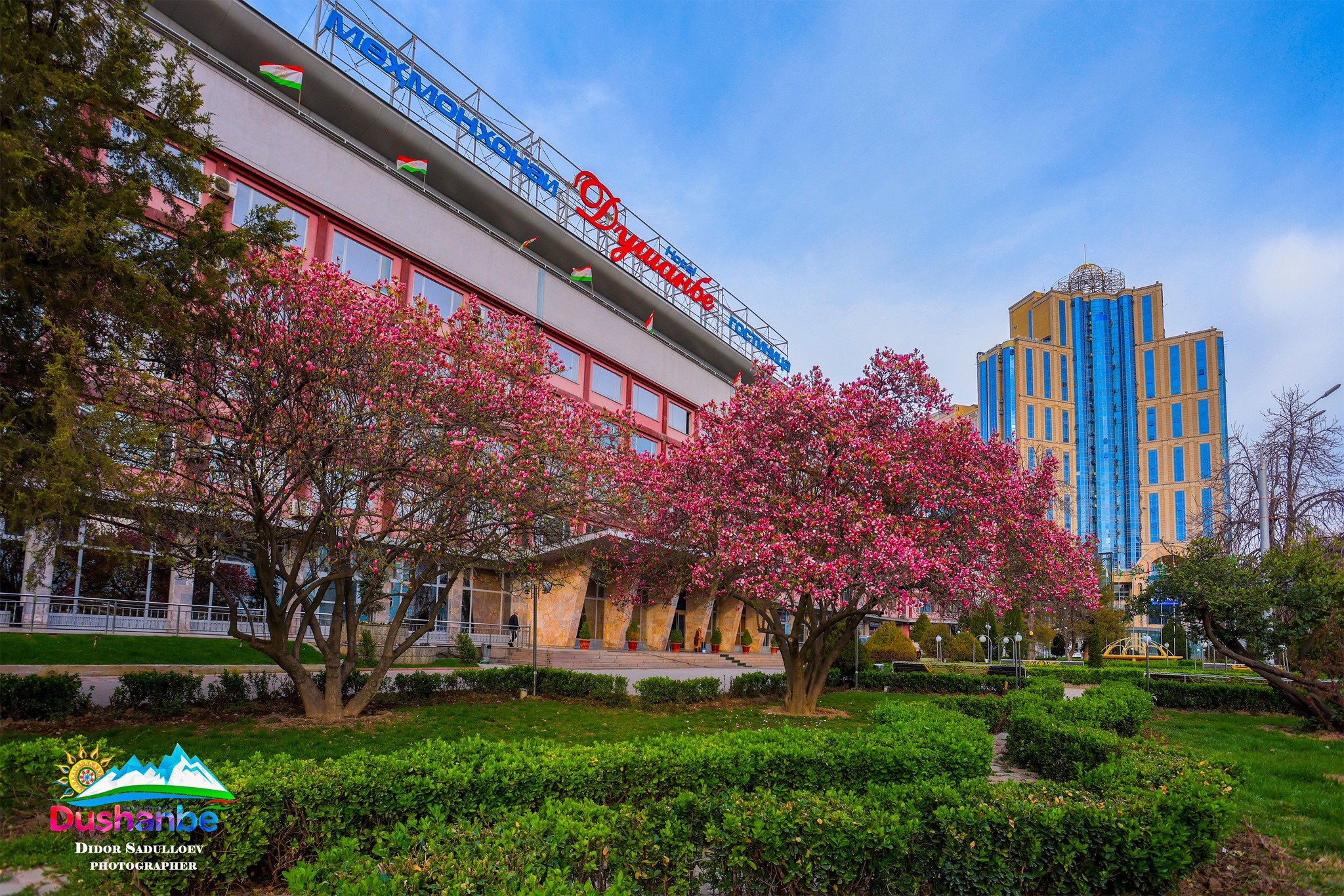 490961790_9380633128732139_6281576595302257731_n