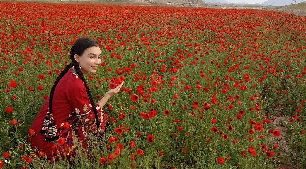 491434414_122203889114152805_7765386311229622238_n