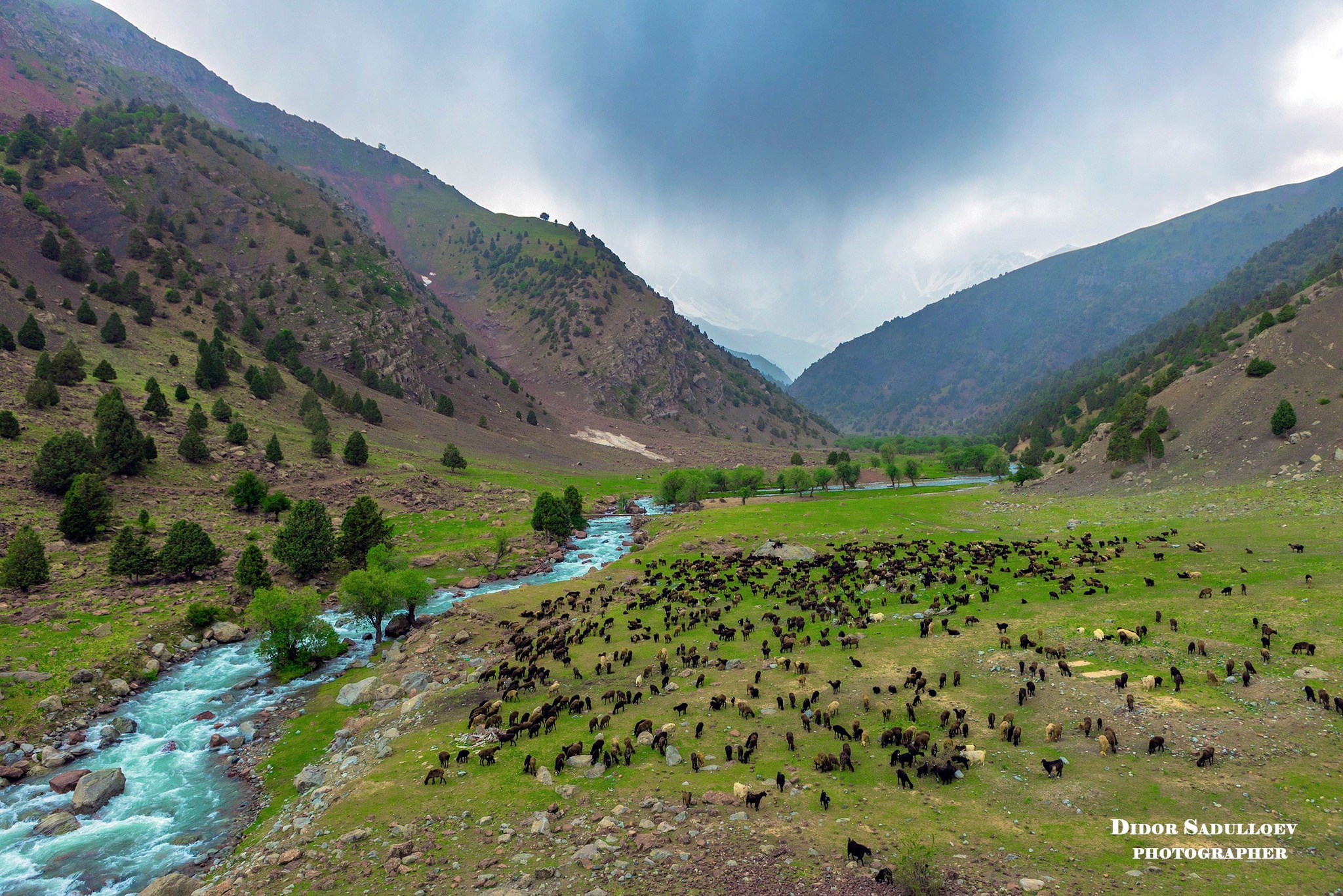 494643160_9505236996271751_5082028707753735949_n