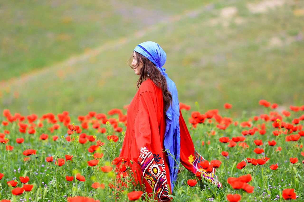 photo_2023-04-04_23-53-20