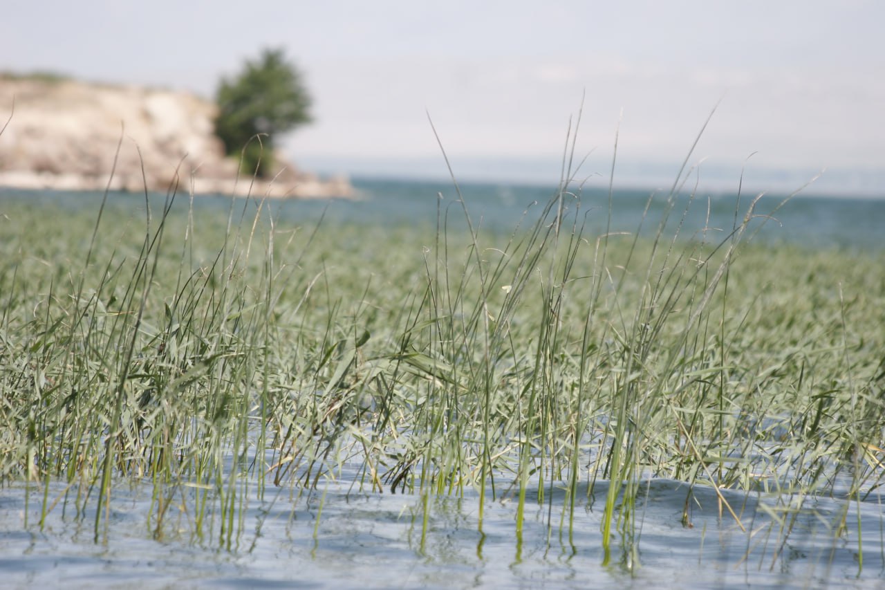 photo_2025-04-04_16-03-41