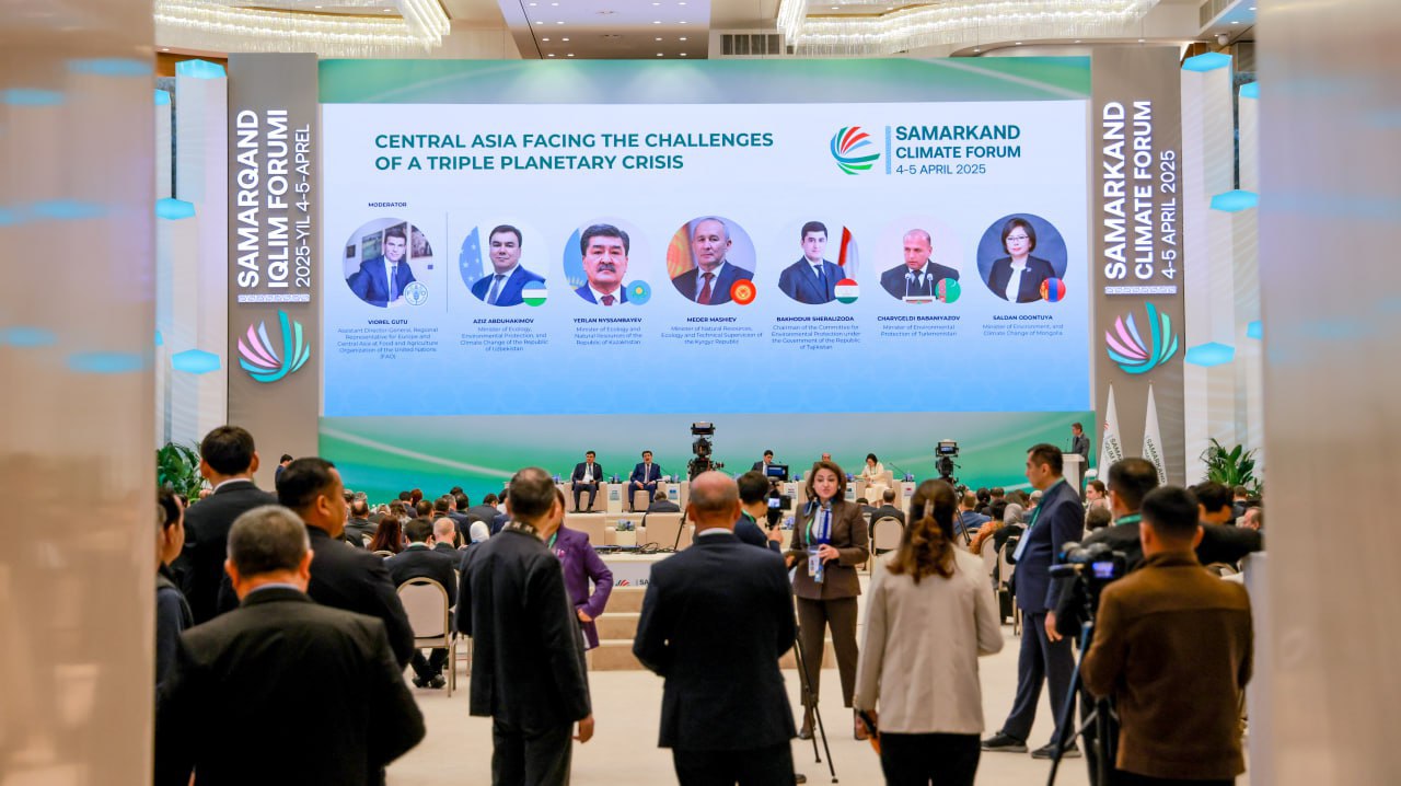 photo_2025-04-07_10-29-49