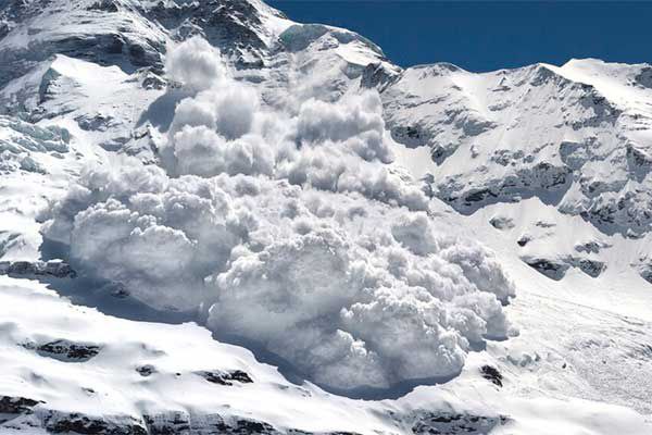 photo_2025-04-09_09-51-48