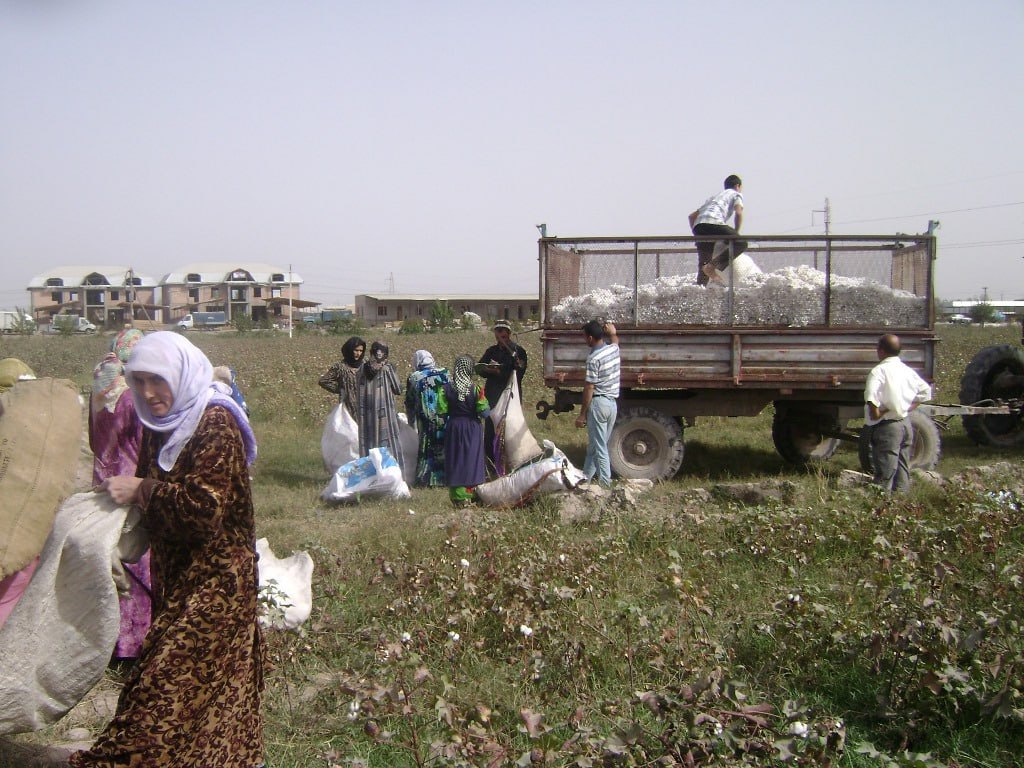 photo_2025-04-15_11-50-28