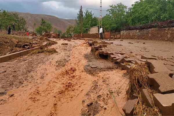 photo_2025-04-18_15-18-36