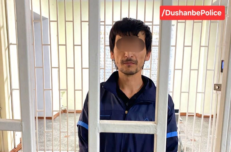 photo_2025-04-20_09-49-11