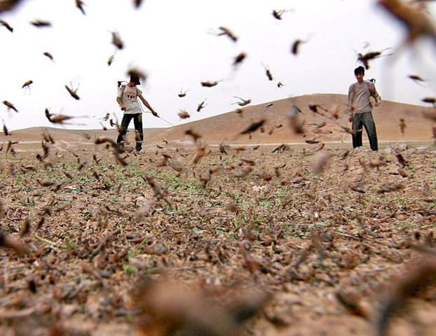 photo_2025-04-21_16-00-52