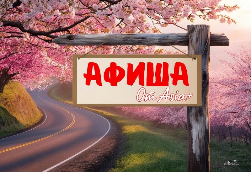 photo_2025-04-24_16-13-57