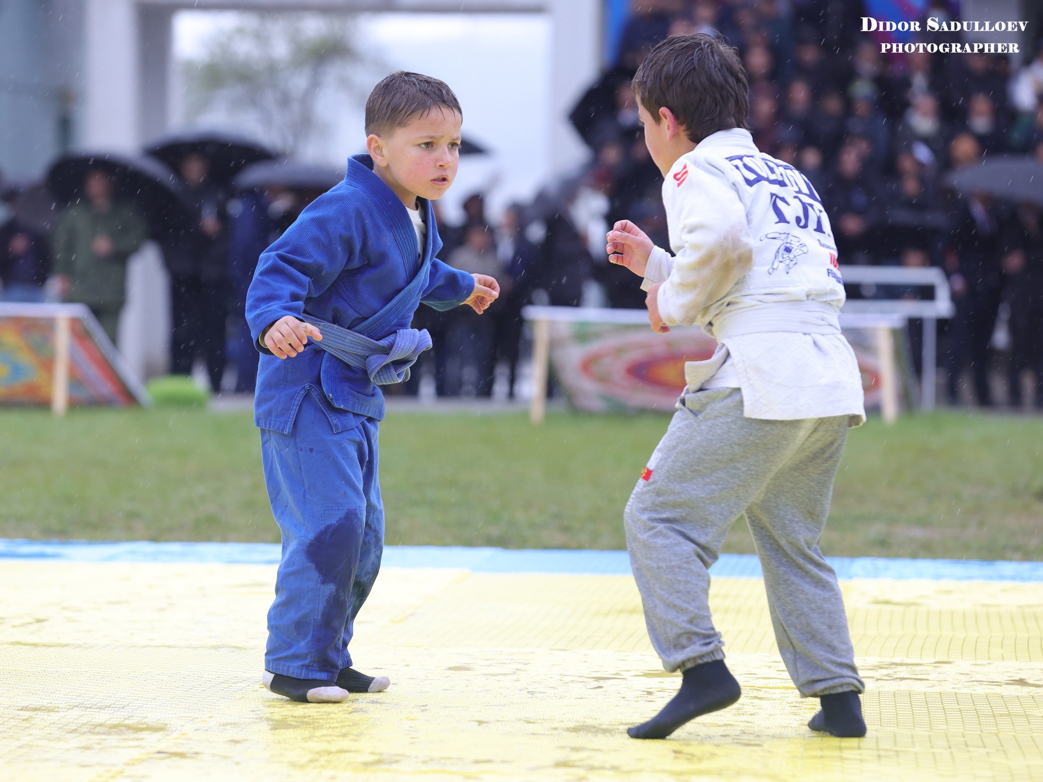 496010375_9607452516050198_5589955752882163513_n