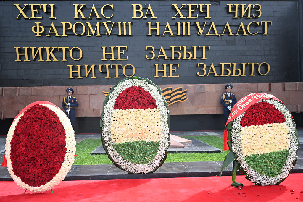 54505058355_a75722bdc1_b