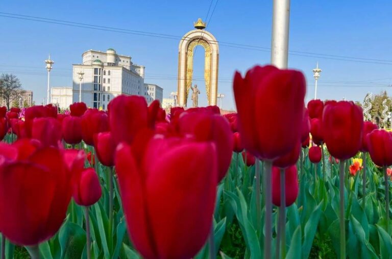 Салом алейкум, Таджикистан! Анонсы событий, день в истории, прогноз погоды на 6 мая 2026 года