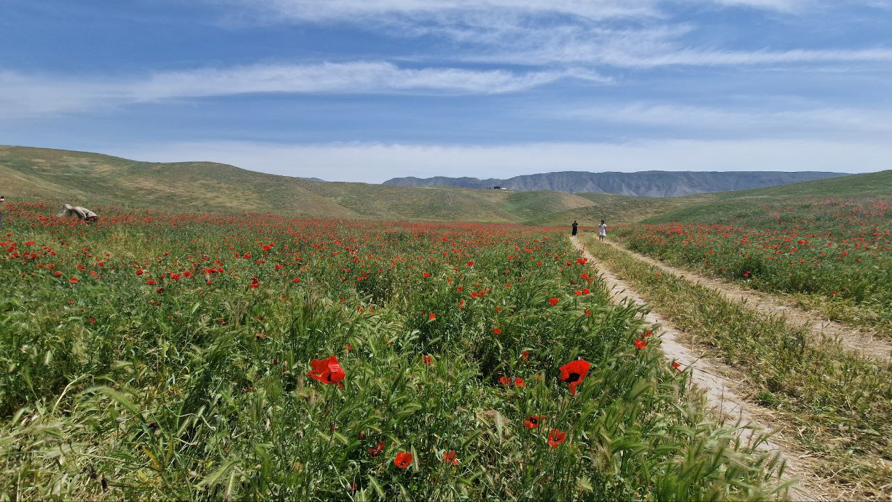 photo_2025-04-26_20-05-22