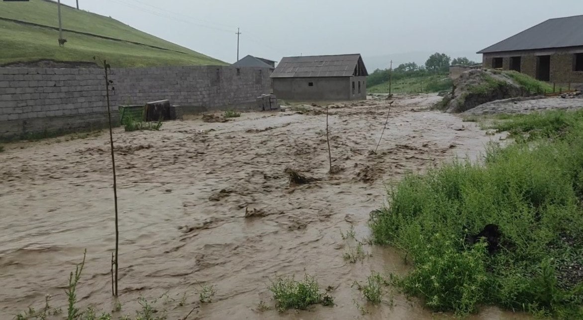 photo_2025-05-03_16-45-06