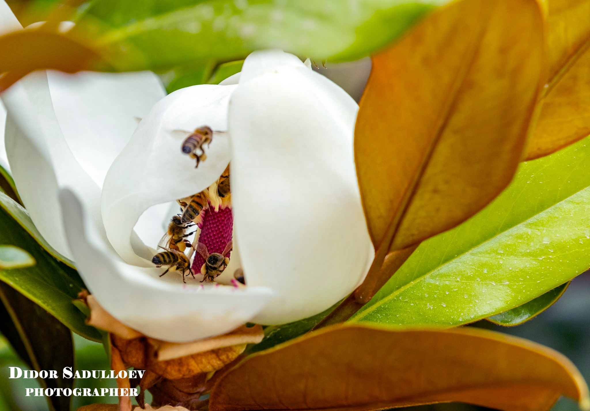 500761302_9723449734450475_1977791506515355925_n