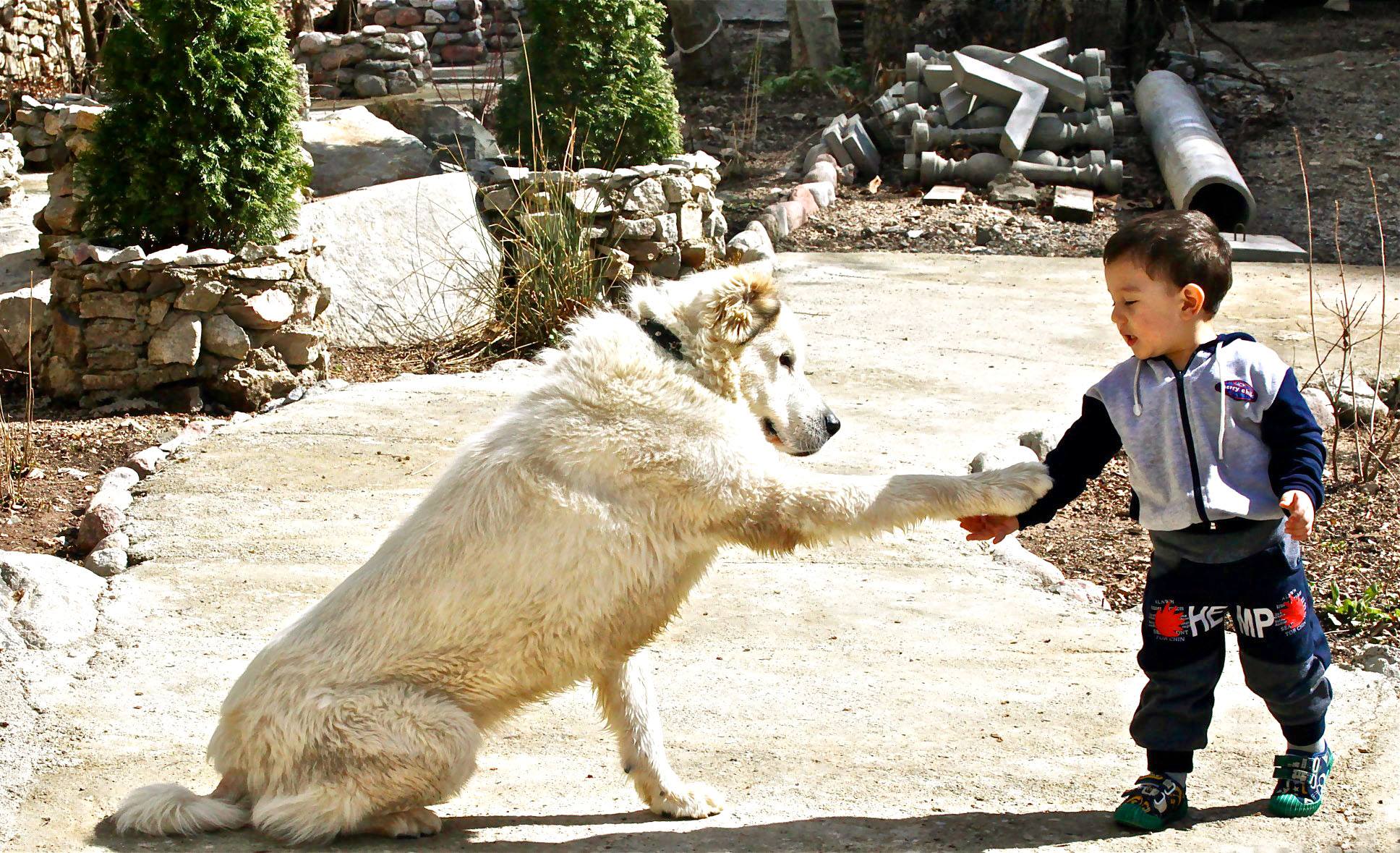 502433903_3090536407761978_2760264499415284345_n