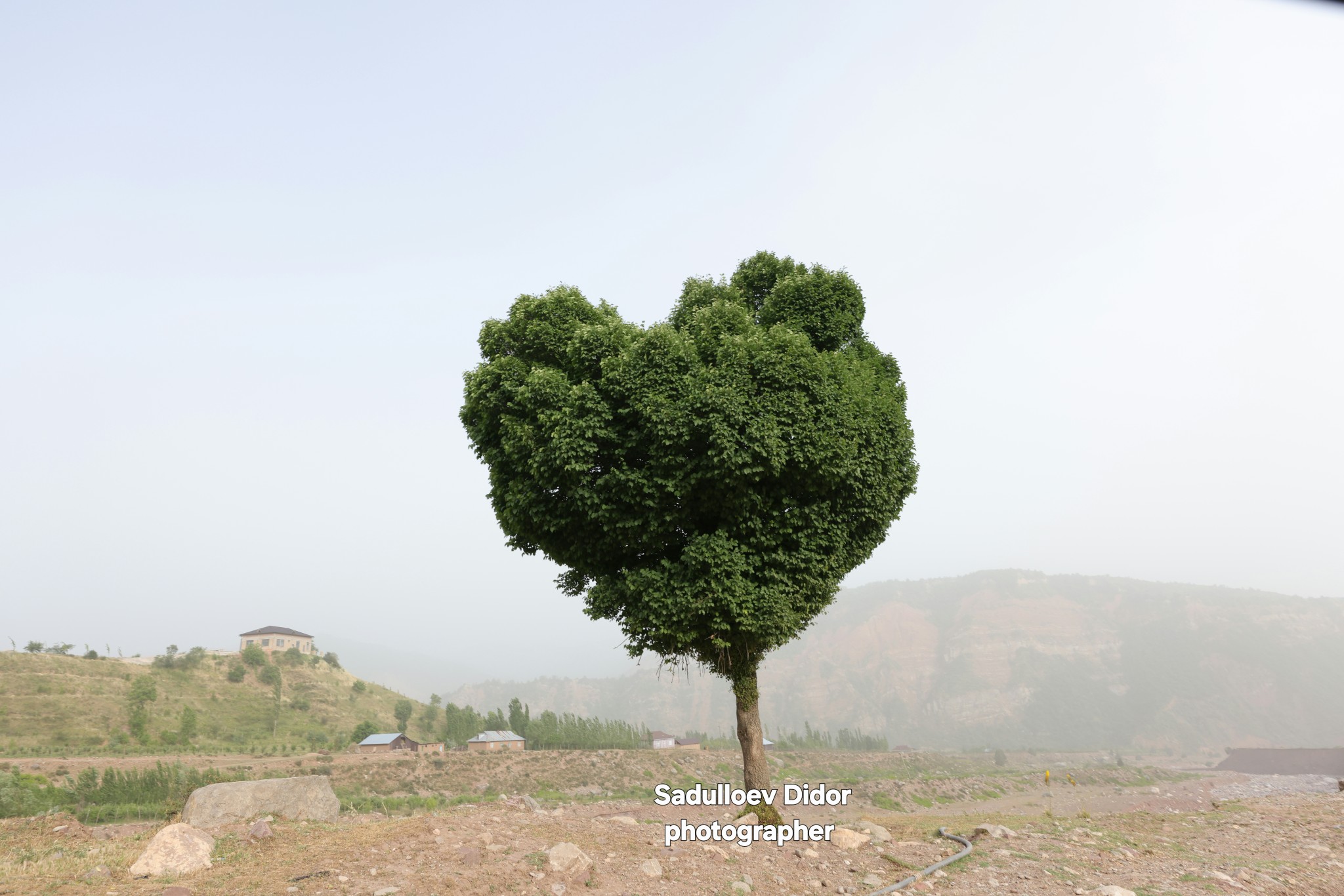 505602113_9819934688135312_3453148285006196597_n