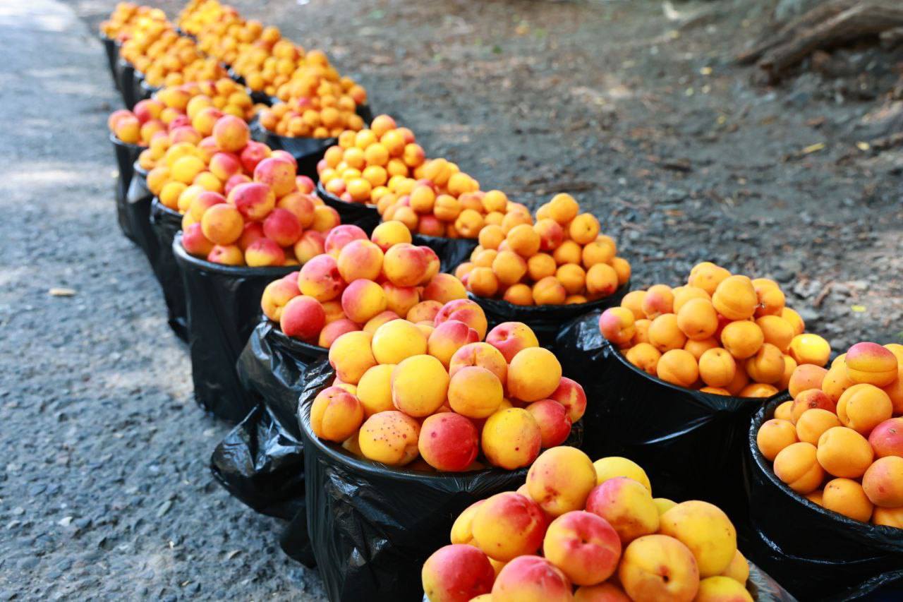 505738885_1349018620314881_9052907730286703402_n