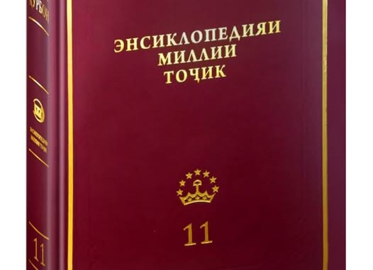 511189937_1318827193584559_806795343431770697_n