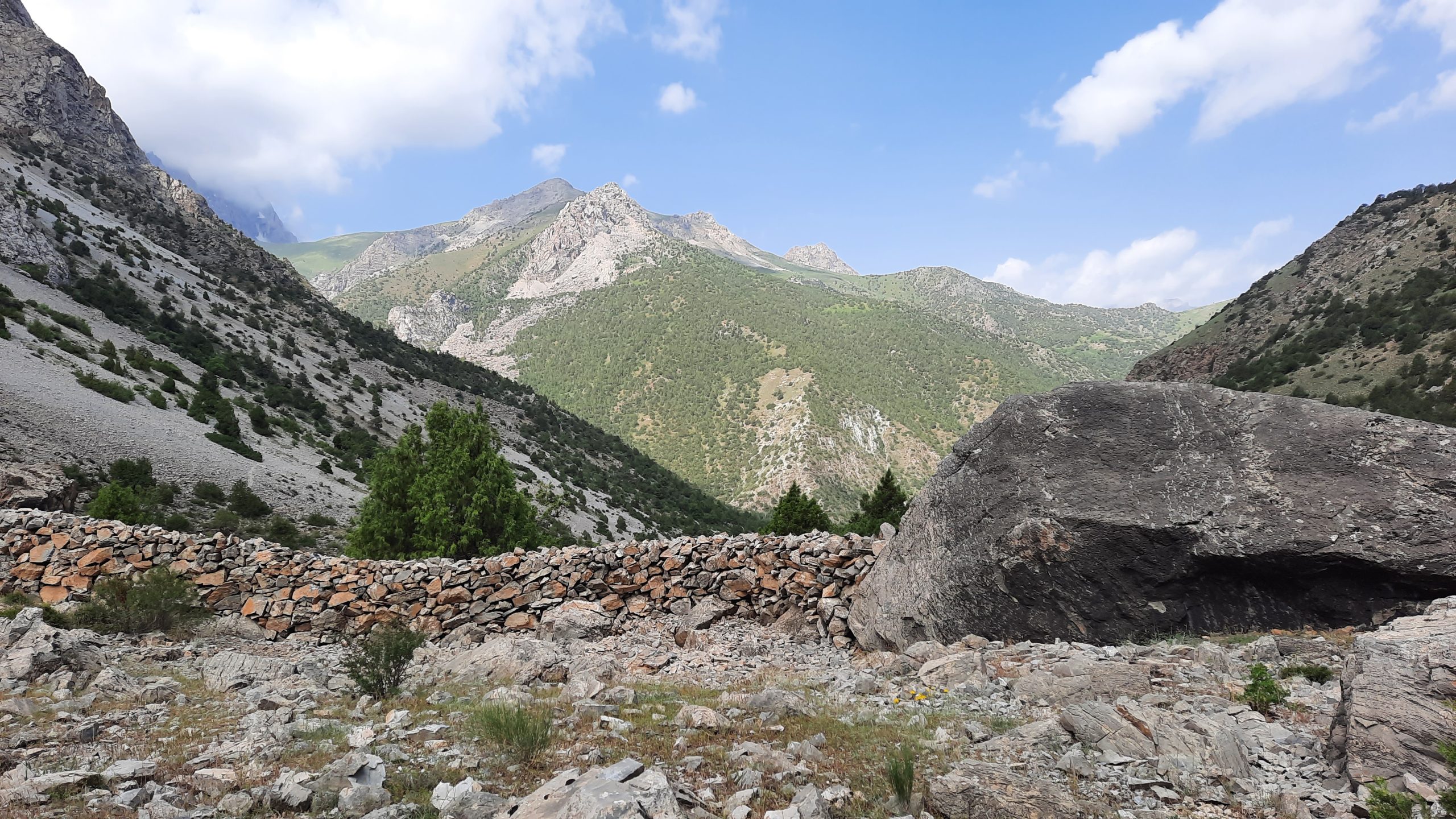 ac78e5bf28d140aac316dcc9fb407f36