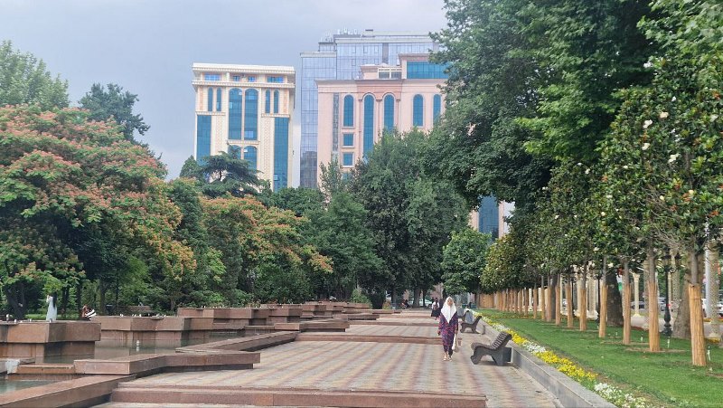 photo_2025-05-29_17-34-27