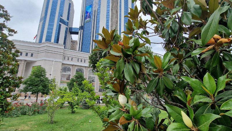 photo_2025-05-29_17-34-39