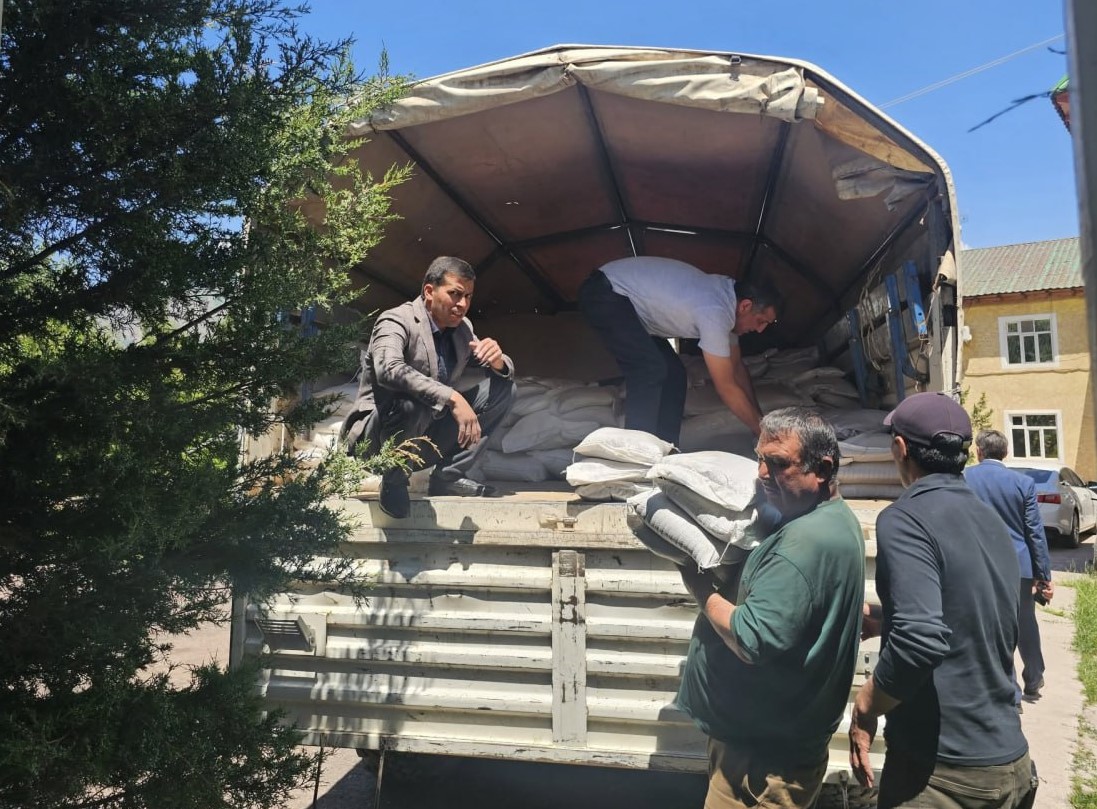 photo_2025-06-04_11-52-47