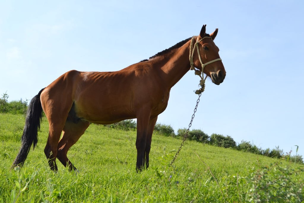 photo_2025-06-04_11-53-26